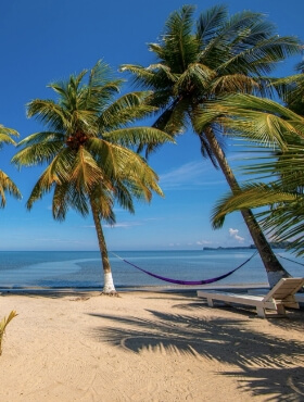 Hamaca sostenida en palmeras con vista en el mar