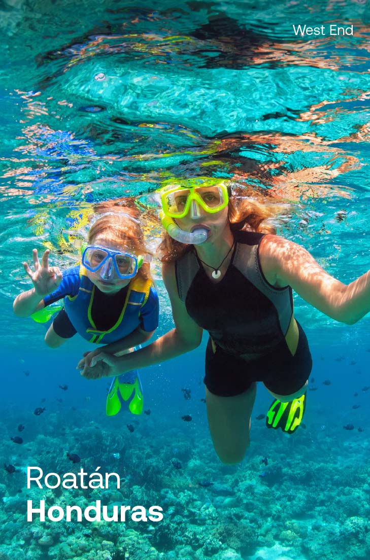 buzo con peces y tortuga en Roatan